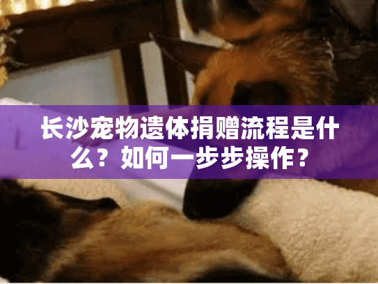 长沙宠物遗体捐赠流程是什么？如何一步步操作？