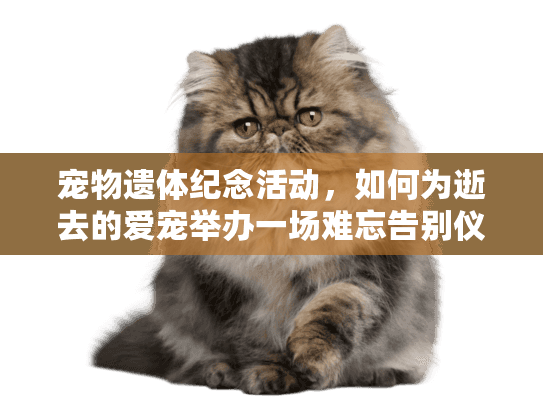 宠物遗体纪念活动，如何为逝去的爱宠举办一场难忘告别仪式？