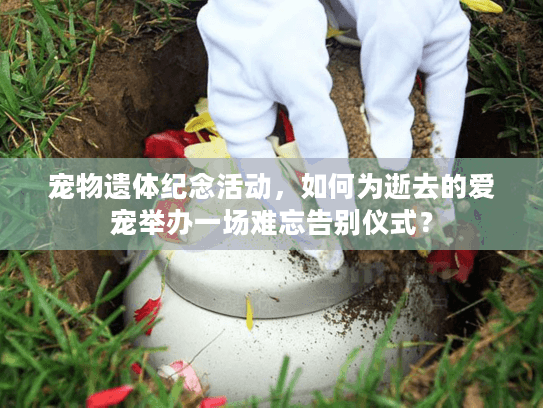 宠物遗体纪念活动，如何为逝去的爱宠举办一场难忘告别仪式？