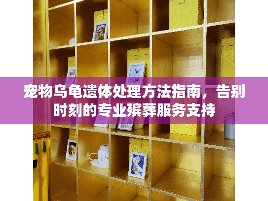 宠物乌龟遗体处理方法指南，告别时刻的专业殡葬服务支持