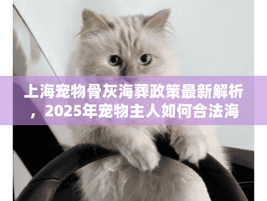 上海宠物骨灰海葬政策最新解析，2025年宠物主人如何合法海葬