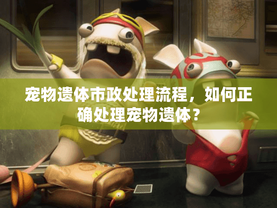 宠物遗体市政处理流程，如何正确处理宠物遗体？