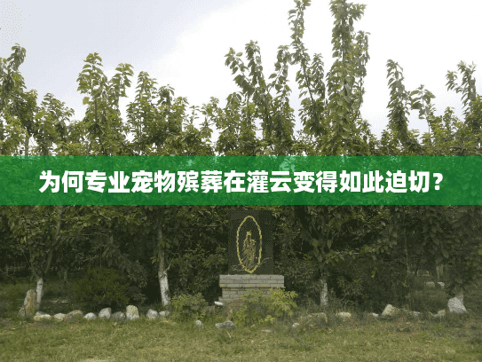 为何专业宠物殡葬在灌云变得如此迫切？