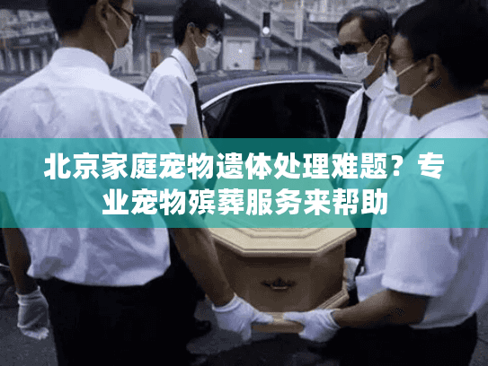 北京家庭宠物遗体处理难题？专业宠物殡葬服务来帮助