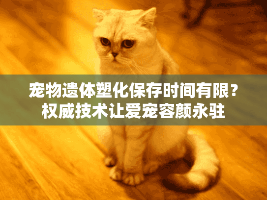 宠物遗体塑化保存时间有限？权威技术让爱宠容颜永驻