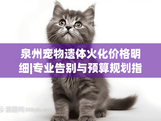 泉州宠物遗体火化价格明细|专业告别与预算规划指南