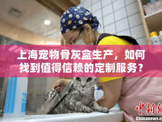上海宠物骨灰盒生产，如何找到值得信赖的定制服务？