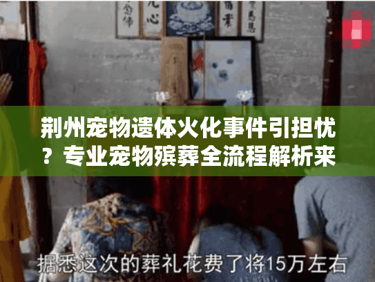 荆州宠物遗体火化事件引担忧图片