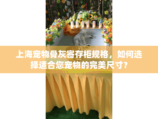 上海宠物骨灰寄存柜规格，如何选择适合您宠物的完美尺寸？