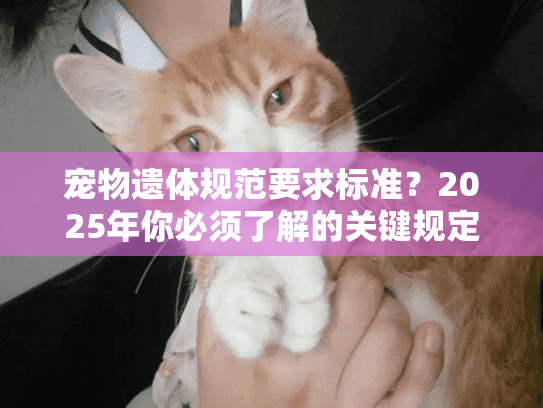 宠物遗体规范要求标准？2025年你必须了解的关键规定和实操指南