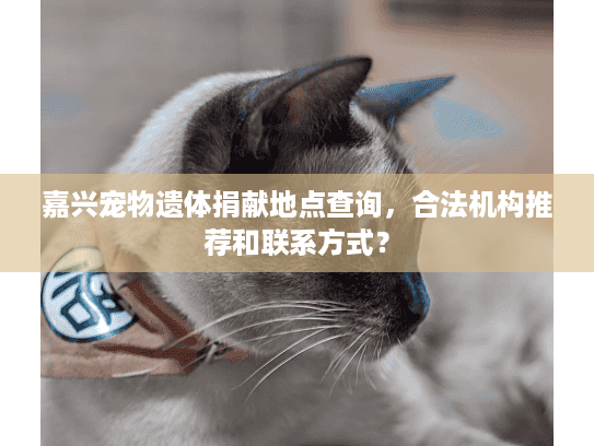 嘉兴宠物遗体捐献地点查询，合法机构推荐和联系方式？