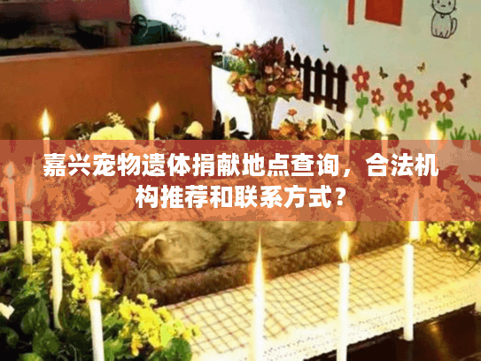嘉兴宠物遗体捐献地点查询，合法机构推荐和联系方式？