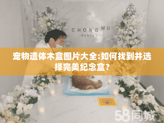 宠物遗体木盒图片大全:如何找到并选择完美纪念盒？