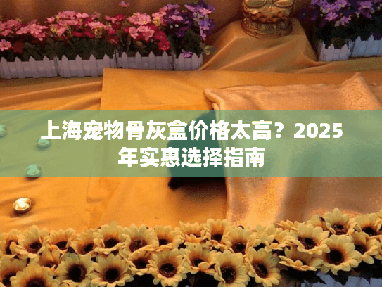 上海宠物骨灰盒价格太高？2025年实惠选择指南