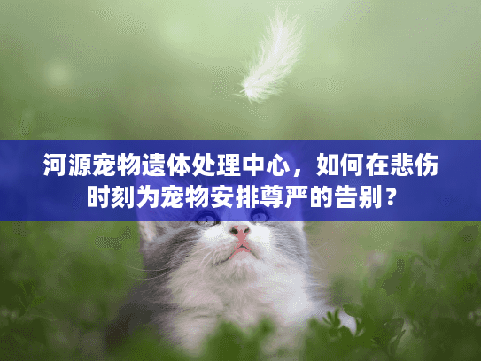 河源宠物遗体处理中心，如何在悲伤时刻为宠物安排尊严的告别？