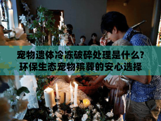 宠物遗体冷冻破碎处理是什么?环保生态宠物殡葬的安心选择