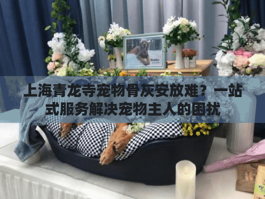 上海青龙寺宠物骨灰安放难？一站式服务解决宠物主人的困扰
