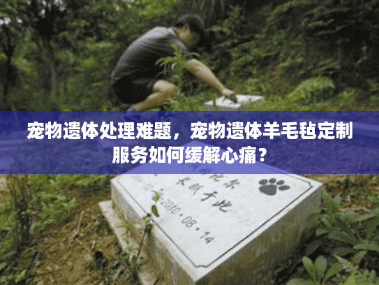 宠物遗体处理难题，宠物遗体羊毛毡定制服务如何缓解心痛？