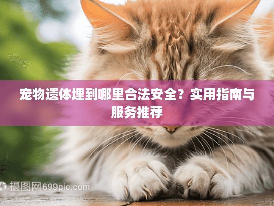 宠物遗体埋到哪里合法安全？实用指南与服务推荐