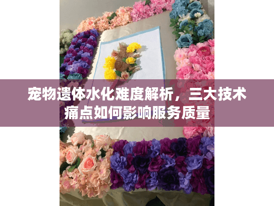 宠物遗体水化难度解析，三大技术痛点如何影响服务质量