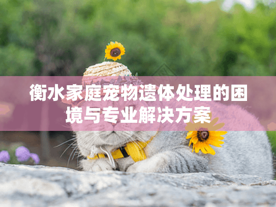 衡水家庭宠物遗体处理的困境与专业解决方案