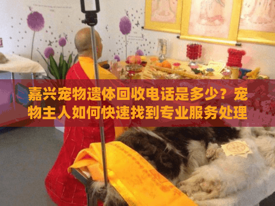 嘉兴宠物遗体回收电话是多少？宠物主人如何快速找到专业服务处理遗体