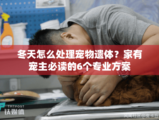 冬天怎么处理宠物遗体？家有宠主必读的6个专业方案