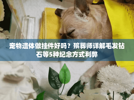 宠物遗体做挂件好吗？殡葬师详解毛发钻石等5种纪念方式利弊