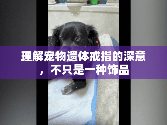 理解宠物遗体戒指的深意，不只是一种饰品