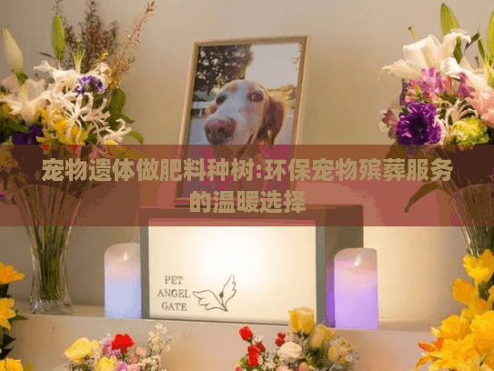 宠物遗体做肥料种树:环保宠物殡葬服务的温暖选择