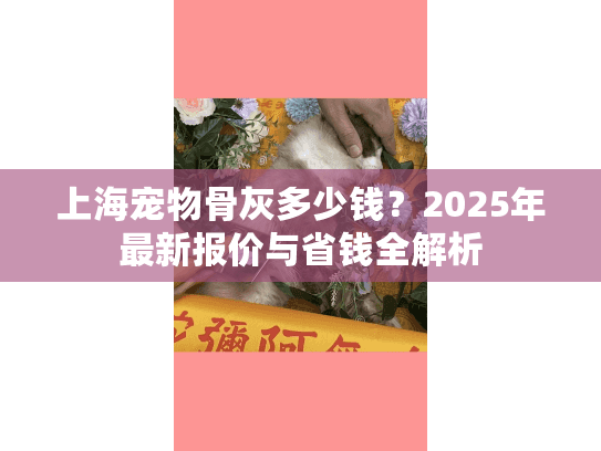 上海宠物骨灰多少钱？2025年最新报价与省钱全解析