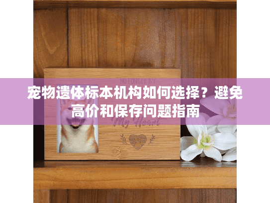 宠物遗体标本机构如何选择？避免高价和保存问题指南