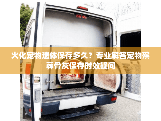 火化宠物遗体保存多久？专业解答宠物殡葬骨灰保存时效疑问