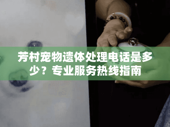 芳村宠物遗体处理电话是多少？专业服务热线指南
