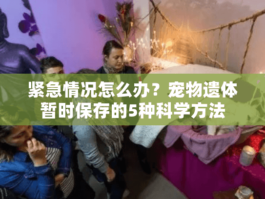 紧急情况怎么办？宠物遗体暂时保存的5种科学方法