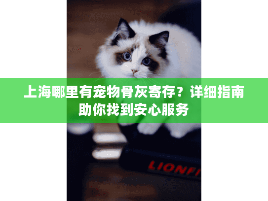 上海哪里有宠物骨灰寄存？详细指南助你找到安心服务