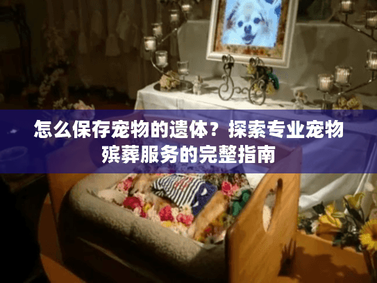 怎么保存宠物的遗体？探索专业宠物殡葬服务的完整指南