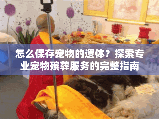 怎么保存宠物的遗体？探索专业宠物殡葬服务的完整指南