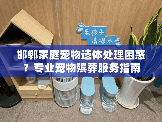 邯郸家庭宠物遗体处理困惑？专业宠物殡葬服务指南