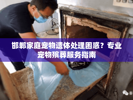 邯郸家庭宠物遗体处理困惑？专业宠物殡葬服务指南