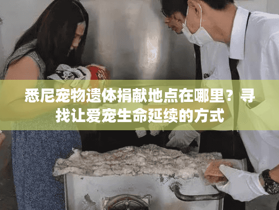悉尼宠物遗体捐献地点在哪里？寻找让爱宠生命延续的方式