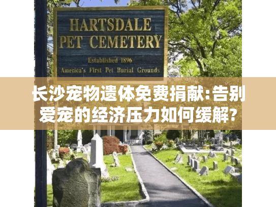 长沙宠物遗体免费捐献:告别爱宠的经济压力如何缓解?
