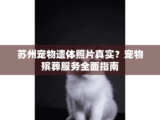 苏州宠物遗体照片真实？宠物殡葬服务全面指南