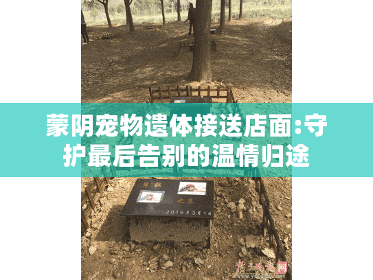 蒙阴宠物遗体接送店面:守护最后告别的温情归途