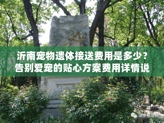 沂南宠物遗体接送费用是多少？告别爱宠的贴心方案费用详情说明