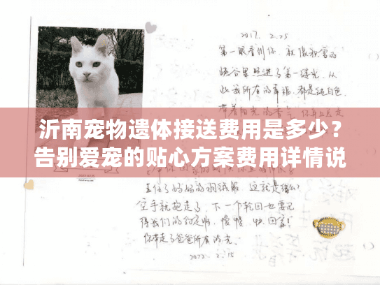沂南宠物遗体接送费用是多少？告别爱宠的贴心方案费用详情说明