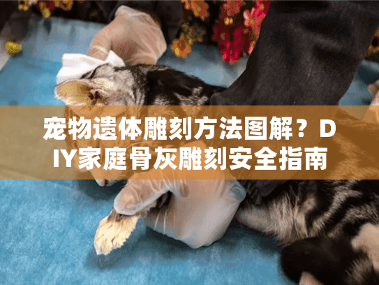 宠物遗体雕刻方法图解？DIY家庭骨灰雕刻安全指南