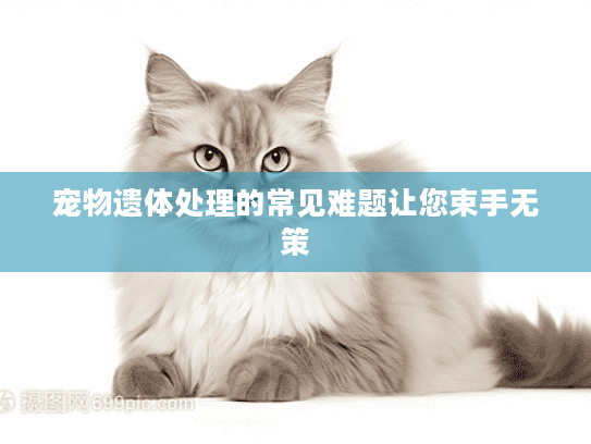 宠物遗体处理的常见难题让您束手无策