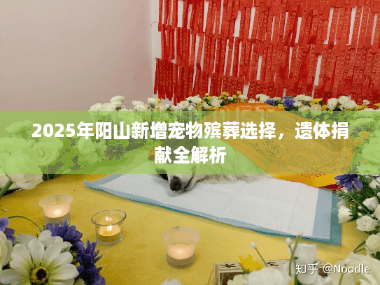 2025年阳山新增宠物殡葬选择，遗体捐献全解析