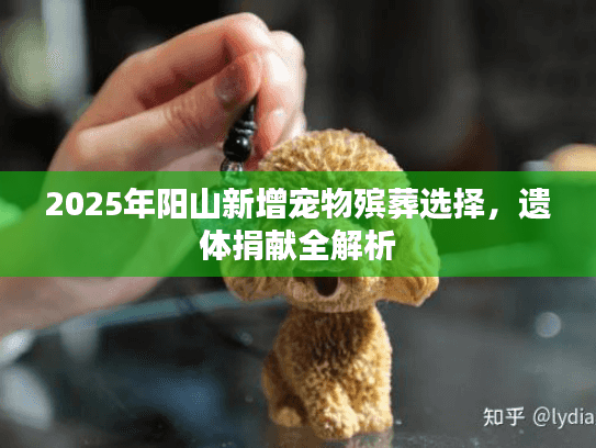 2025年阳山新增宠物殡葬选择，遗体捐献全解析